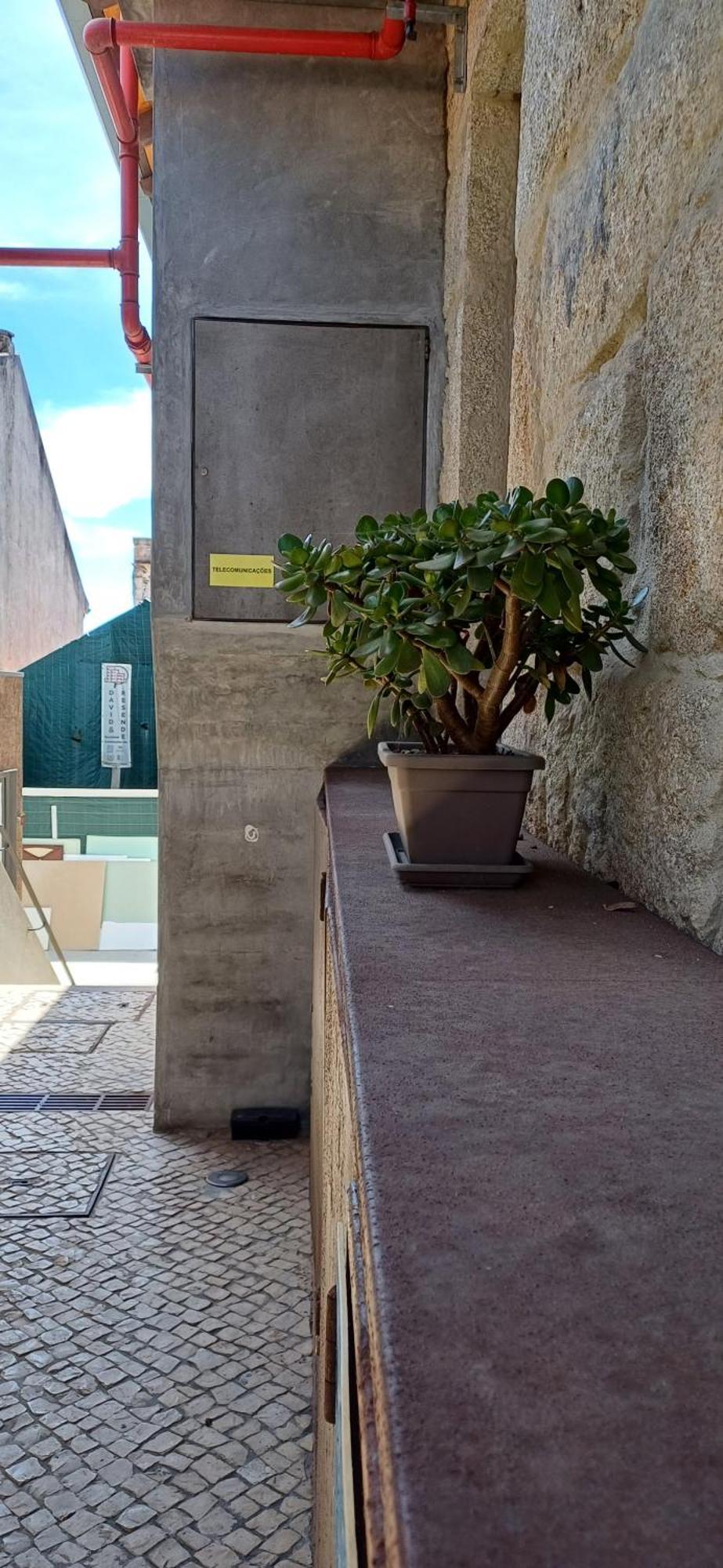 Typical Loft Oporto Downtown Daire Dış mekan fotoğraf